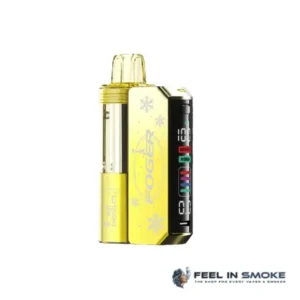 Hot Chocolate - Foger Switch Pro Kit 30K Puffs (Holiday Edition)